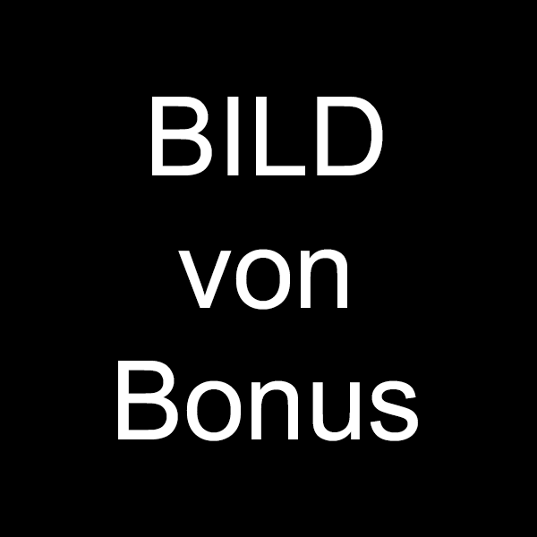 bild-von-bonus-beispiel